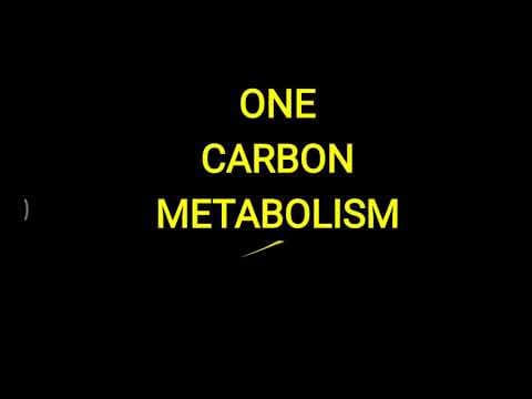 Thumbnail for One Carbon Metabolism by Medical Biochemistry by Dr Nikunj Modi