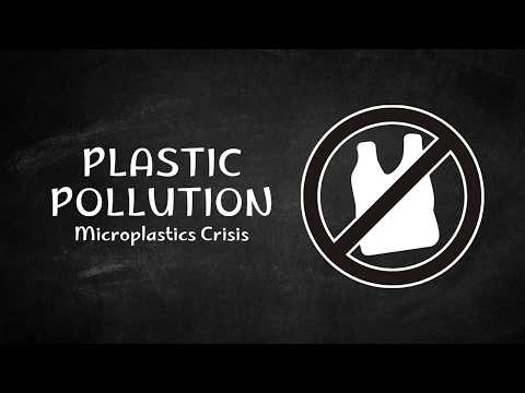 Thumbnail for Plastic Pollution Explained | The Microplastics Crisis by The Learning Studio
