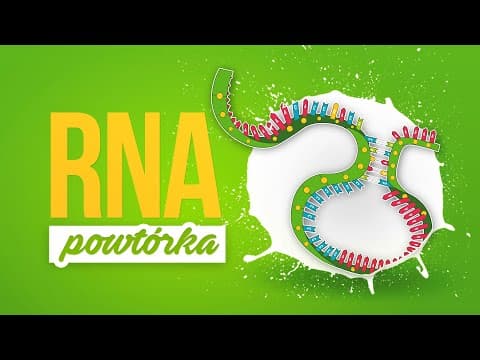 Thumbnail for RNA by Powtórka z biologii