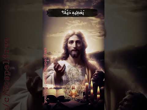 Thumbnail for null by null