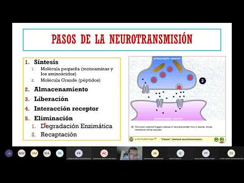 Thumbnail for Neurotransmisores y neurotransmisión by Diego León