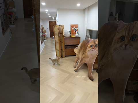 Thumbnail for Nothing Felt Real to the Cat That Day, Everything Was Paper and It Got Confused by Happy L story