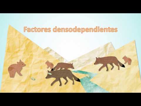 Thumbnail for Factores que afectan las poblaciones - PSU Ciencias Biología by Preuniversitario Social Taytalluca