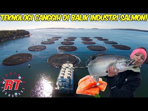 Thumbnail for PROSES BUDIDAYA SALMON ATLANTIK DENGAN AKUAKULTUR MENGHASILKAN JUTAAN TON SETIAP TAHUN by REKAYASA TEKNOLOGI