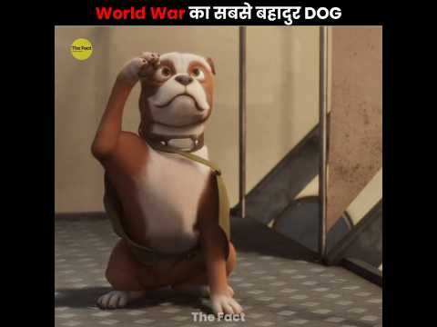 Thumbnail for The Bravest Dog In WWI ЁЯШо by The Fact