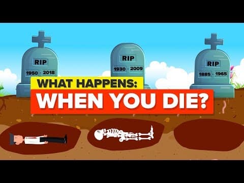 Thumbnail for What Happens When You Die? by The Infographics Show