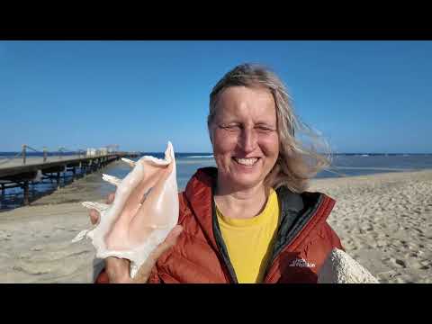 Thumbnail for Normalit├дt als Gewalt. Warum gesunde Menschen in kranken Systemen als krank gelten (Teil 1 von 3) by Mystik und Coaching Prof. Dr. Sabine Bobert