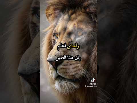 Thumbnail for مقصودة by جمولة نمولة