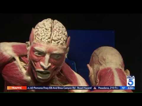 Thumbnail for Body Worlds: Pulse by NEWS usToday