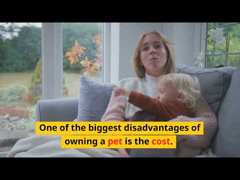 Thumbnail for Advantages and Disadvantages of having a pet by LovePets