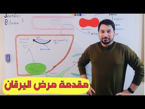 Thumbnail for Bilirubin Metabolism القصة الكاملة تكسر الهيم والبليروبين by Abdullah Mazin الدكتور عبدالله مازن