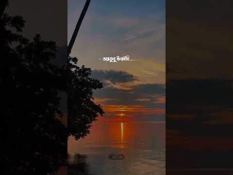 Thumbnail for আপনার প্রথম কাজ হচ্ছে আগে তওবা করা..‼️ Abu Taw Haa Muhammad Adnan #waztime24 by Waz Time 24